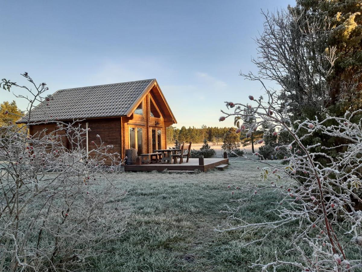 Valipe Puhkemaja Villa Buitenkant foto